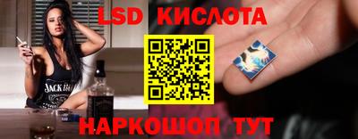 гашик Можга