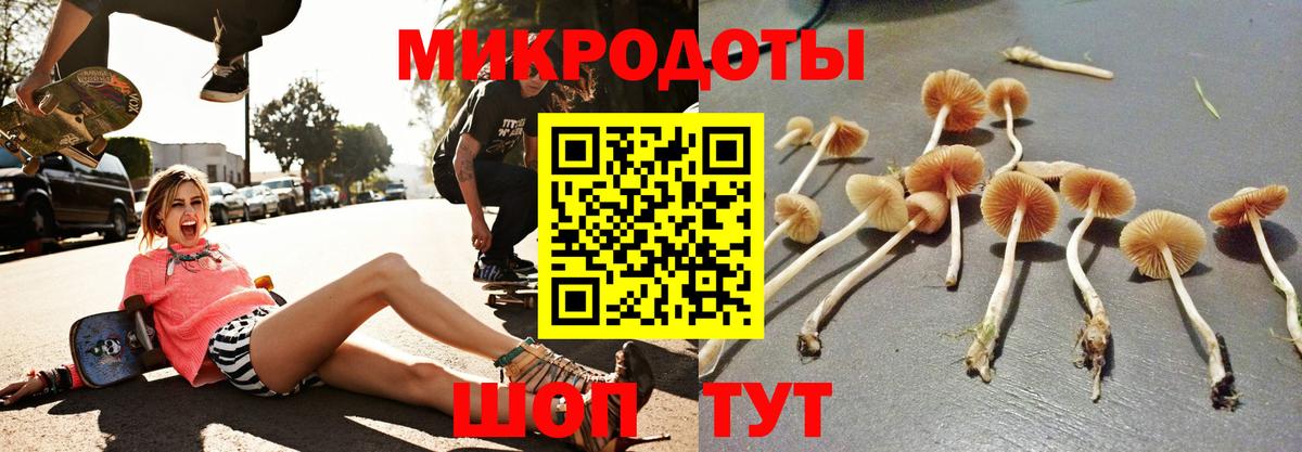 где найти   Вход с VPN  Чита  Галлюциногенные грибы Psilocybe 
