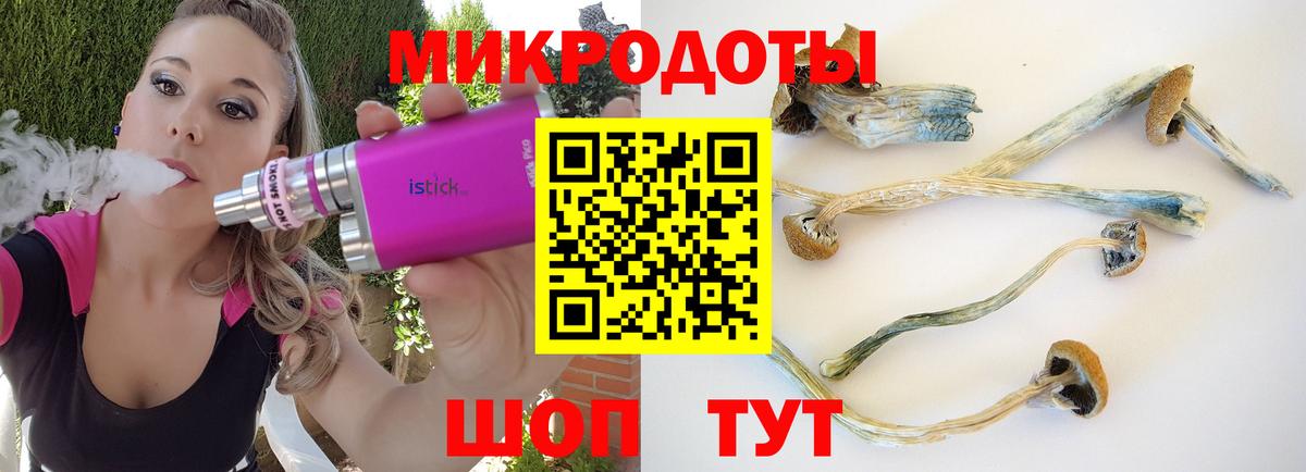 Галлюциногенные грибы мицелий Чита