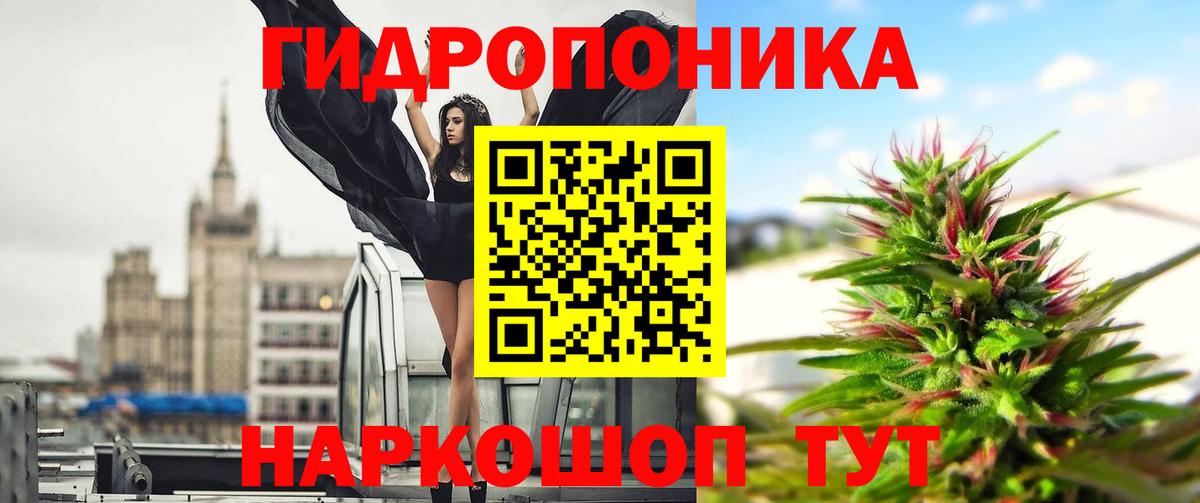 Чита  Марихуана тримм  Бошки марихуана марихуана  Вход с VPN  Бошки марихуана THC 21% 
