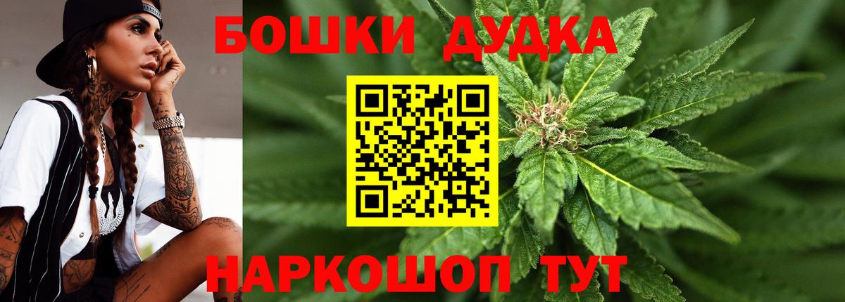 Каннабис индика Чита